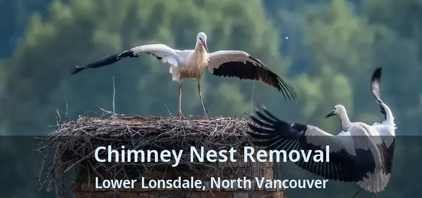 Chimney Nest Removal Lower Lonsdale, North Vancouver - BC