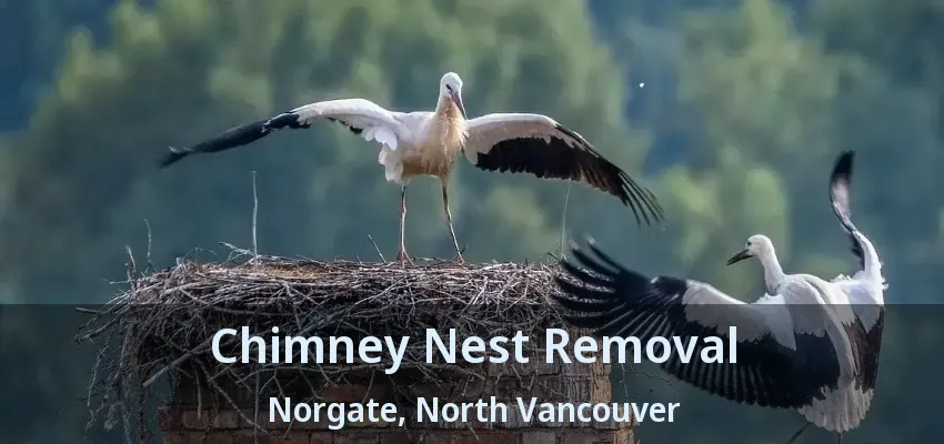 Chimney Nest Removal Norgate, North Vancouver - BC
