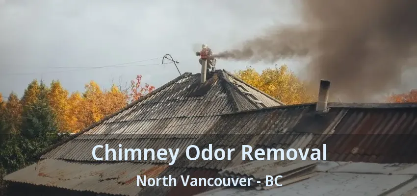 Chimney Odor Removal North Vancouver - BC