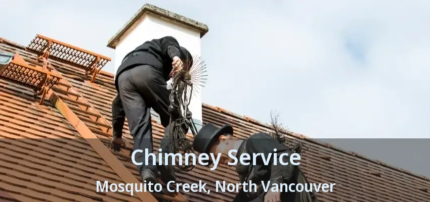 Chimney Service Mosquito Creek, North Vancouver - BC
