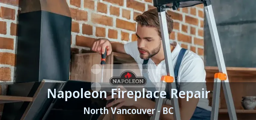 Napoleon Fireplace Repair North Vancouver - BC