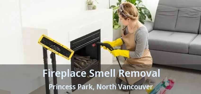 Fireplace Smell Removal Princess Park, North Vancouver - BC