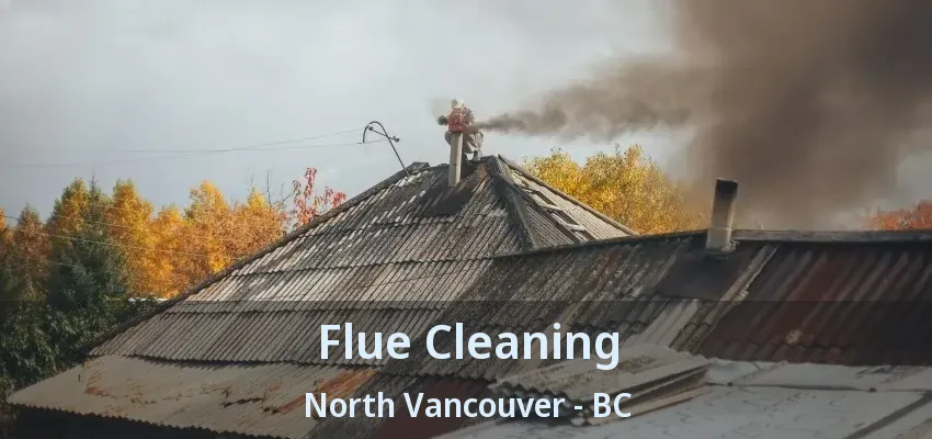 Flue Cleaning North Vancouver - BC