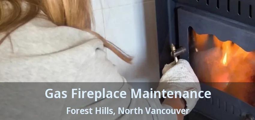 Gas Fireplace Maintenance Forest Hills, North Vancouver - BC